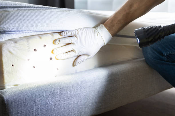 Best Commercial Pest Control Services  in Gold Bar, WA